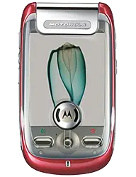 Motorola&nbsp;MING