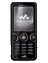SonyEricsson W610c